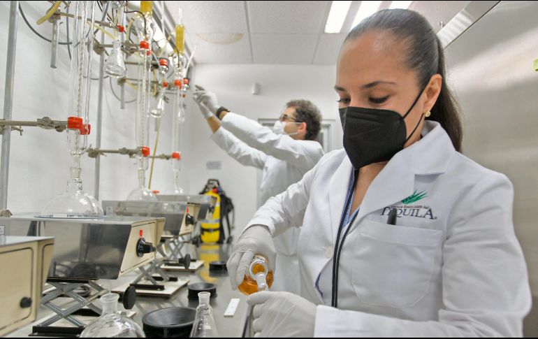 Desde hace años, el Consejo Regulador del Tequila (CRT) apoya proyectos de investigación y suma acciones para su estrategia de sustentabilidad. EL INFORMADOR/ A. Camacho