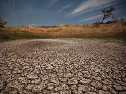 Una posible vuelta del episodio cálido de 