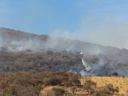 Felipe de Jesús López Sahagún, director general de Protección Civil y Bomberos de Tlajomulco destacó la extinción que fue a las 20:14 horas. CORTESÍA