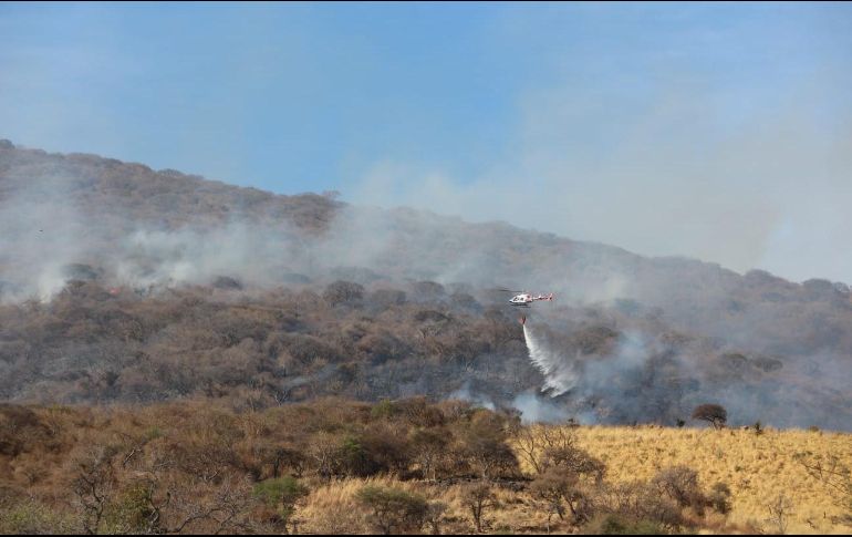 Felipe de Jesús López Sahagún, director general de Protección Civil y Bomberos de Tlajomulco destacó la extinción que fue a las 20:14 horas. CORTESÍA