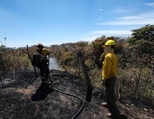 El Bosque de la Primavera ha tenido dos grandes incendios este año. ESPECIAL