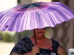 Jalisco será uno de los estados afectados por el calor. EL INFORMADOR/ ARCHIVO