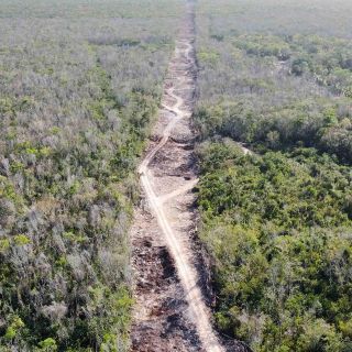 Los siete tramos del Tren Maya cuentan con autorizaciones ambientales: Albores