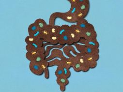 La microbiota intestinal está compuesta por billones de bacterias y otros organismos microscópicos. GETTY IMAGES