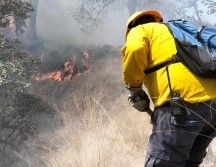 Tan sólo este lunes, brigadistas han enfrentado dos incendios en La Primavera. ESPECIAL
