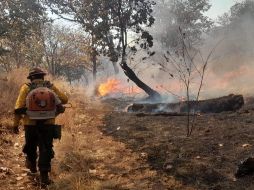 El incendio en el cerro El Papantón, en el municipio de Juanacatlán, ya fue extinguido. ESPECIAL