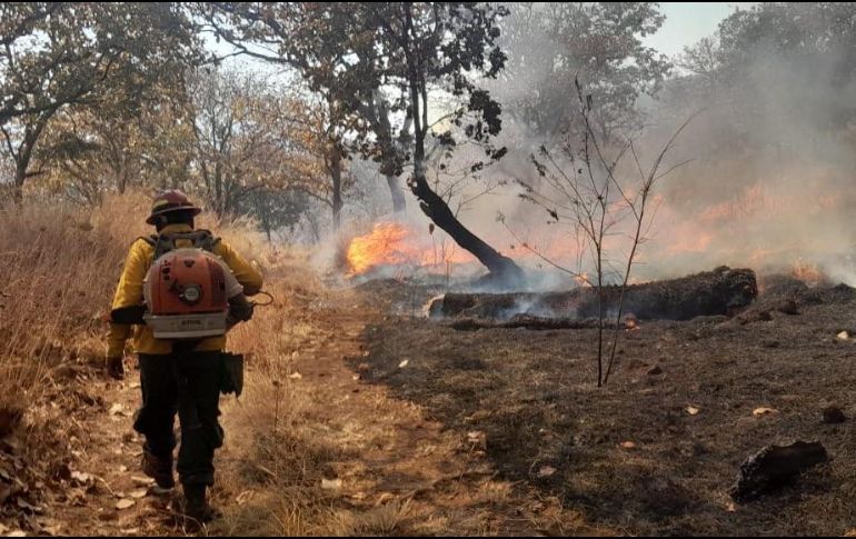 El incendio en el cerro El Papantón, en el municipio de Juanacatlán, ya fue extinguido. ESPECIAL