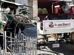 Guadalajara pretende que todas las calandrias sean eléctricas para no usar caballos para ese fin. ESPECIAL