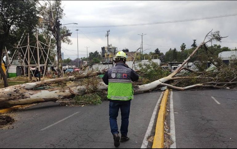 Se emitió la alerta amarilla en doce alcaldías de la CDMX. ESPECIAL