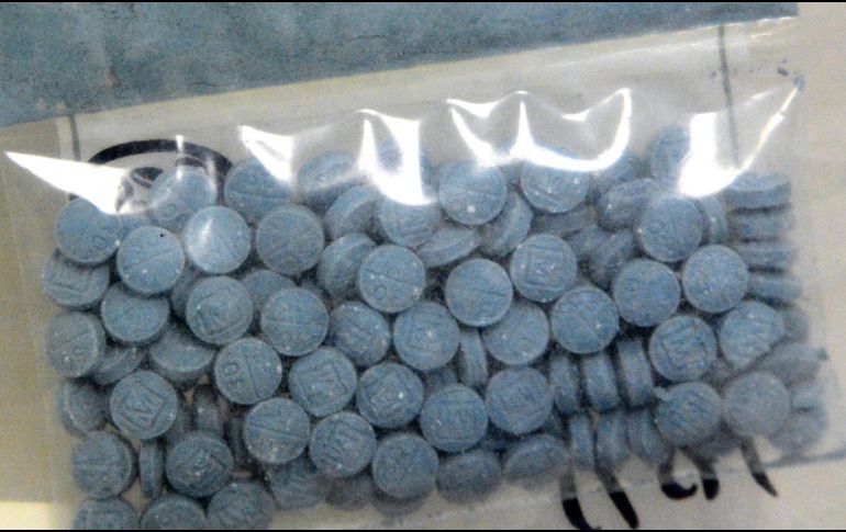 Ya están en revisión las investigaciones pertinentes para determinar la situación legal del hallazgo. EFE / ARCHIVO