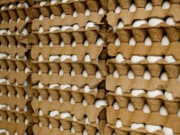 Una opción para paliar el aumento excesivo en el huevo es sustituir esta proteína por otros alimentos de temporada. EL INFORMADOR/ARCHIVO