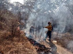 Se desplegaron cerca de 40 combatientes en el bosque El Nixticuil. ESPECIAL