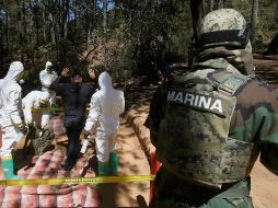 Elementos militares realizan más operativos antidrogas durante este sexenio. EL INFORMADOR/ Archivo