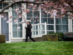 Las condiciones generalizadas de alerta por sequía ya se dan en el sur de España, Francia, Irlanda, el Reino Unido y otras regiones. AP/B. Wittpenn