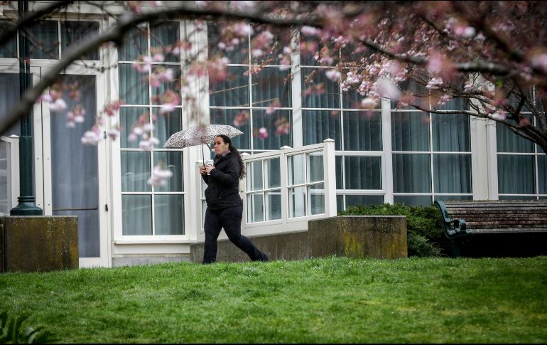 Las condiciones generalizadas de alerta por sequía ya se dan en el sur de España, Francia, Irlanda, el Reino Unido y otras regiones. AP/B. Wittpenn