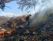 Este año suman 203 incendios forestales en Jalisco. ESPECIAL