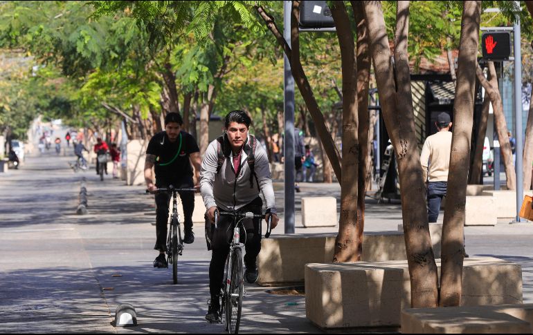 En el Paseo Fray Antonio Alcalde han plantado más de 300 árboles en el último año. ELINFROMADOR/ CARLOS ZEPEDA