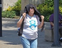 Las islas de calor en la ciudad aumentan debido a la falta de arbolado. EL INFORMADOR/ ALONSO CAMACHO