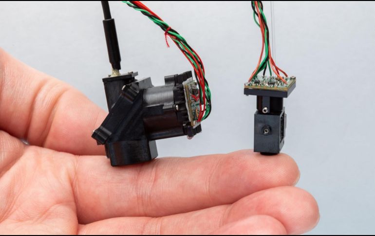 Investigadores desarrollaron dos microscopios portátiles para observar regiones antes inaccesibles de la médula espinal de ratones. EFE / Instituto Salk