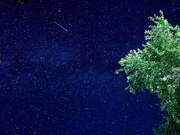 El fin de la raza humana estaría cerca, según la premonición del 