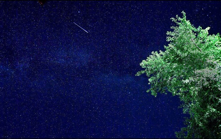 El fin de la raza humana estaría cerca, según la premonición del 