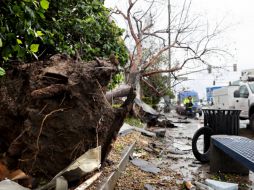 El tornado arrastró varios vehículos lejos del estacionamiento. AFP
