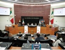 La Cámara alta creó el Registro Nacional de Obligaciones Alimentarias. ESPECIAL