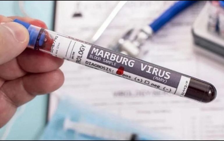 El virus proveniente del murciélago puede ser altamente letal si la persona infectada no cuenta con tratamiento médico. ESPECIAL