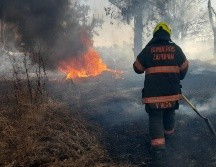 El incendio se registró en un predio cercano al CUCEA. ESPECIAL