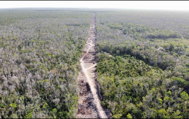 El documento estipula que el Tren Maya tendrá la función de ser un corredor humano donde entregarán apoyos alimentarios, médicos, y de otra índole, para las comunidades indígenas y pueblos marginados del sureste mexicano. SUN / ARCHIVO