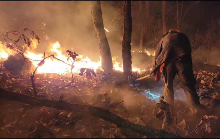 Elementos de la Semadet se encuentran realizando las labores en el paraje El Poleo. ESPECIAL/SEMADET