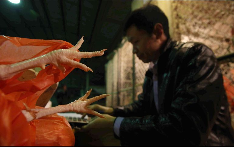 La OMS afirma que el riesgo de propagación sostenida entre humanos de los virus de la gripe aviar H3N8 a niveles regional, nacional e internacional es bajo. EFE / ARCHIVO