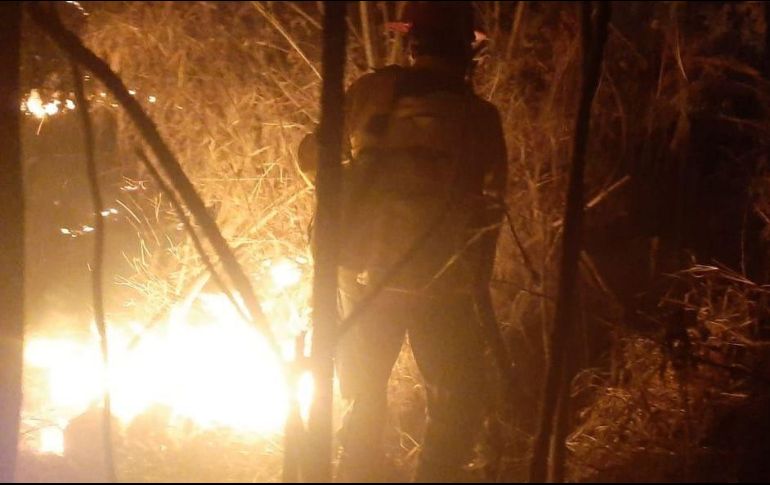 El incendio forestal se registra en el paraje Bugambilias - La Capilla, dentro de la Zona de Recuperación Ambiental Cerro El Tajo en Zapopan. ESPECIAL
