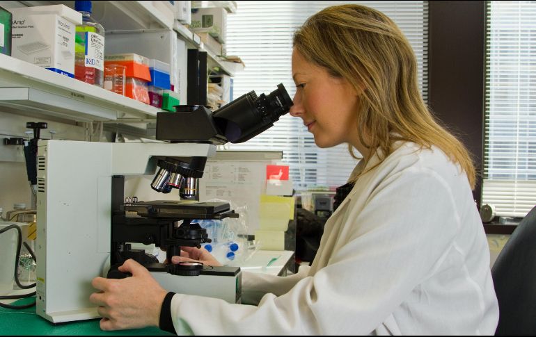 La investigación científica permite que los tratamientos oncológicos sean cada vez más personalizados. ESPECIAL / UNSPLASH