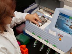 La ampliación del mapa del epigenoma habilitará a más desarrollos en medicina personalizada. ESPECIAL / UNSPLASH