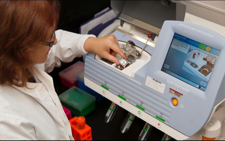 La ampliación del mapa del epigenoma habilitará a más desarrollos en medicina personalizada. ESPECIAL / UNSPLASH