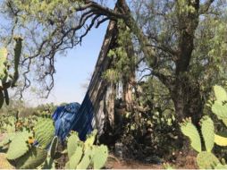 El globo que se incendió no pertenece a la organización, dijo la Fegat. SUN
