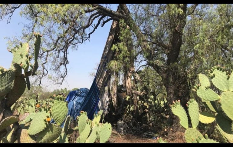 El globo que se incendió no pertenece a la organización, dijo la Fegat. SUN