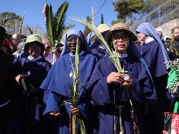Procesión por el Domingo de Ramos en Jerusalén. EFE/A. Sultán