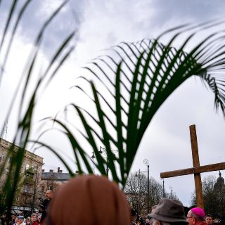 ¿Las palmas son amuletos? Y otros interesantes datos del Domingo de Ramos