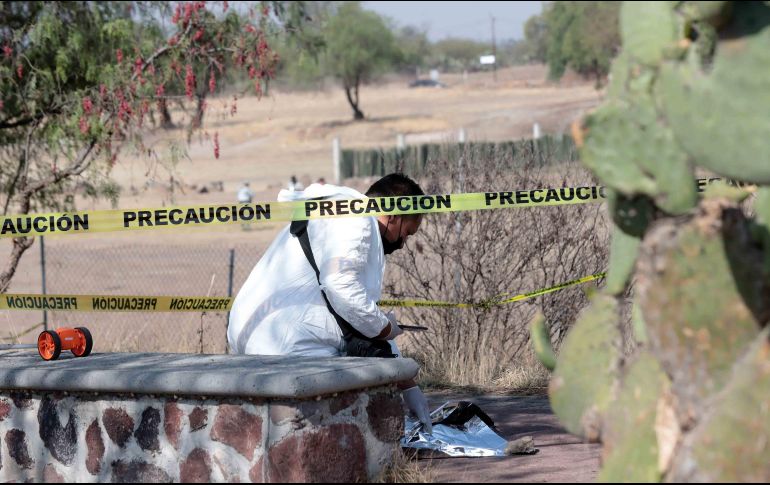 La AFAC informó que iniciaron las investigaciones sobre el accidente que ocurrió el sábado. SUN/ARCHIVO