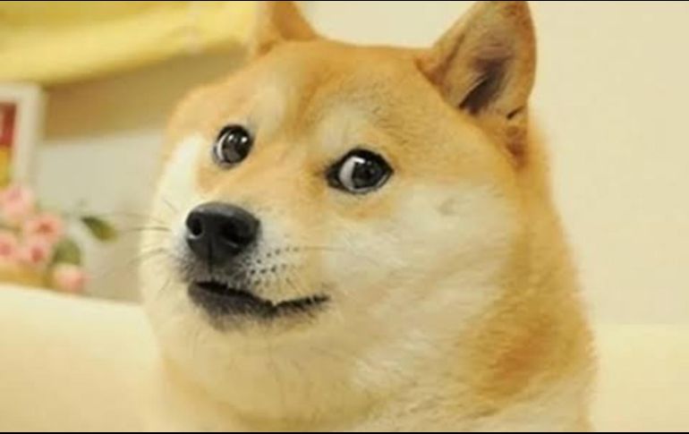 El cambio del logo en Twitter generó un notable aumento en el precio de la criptomoneda Dogecoin. ESPECIAL