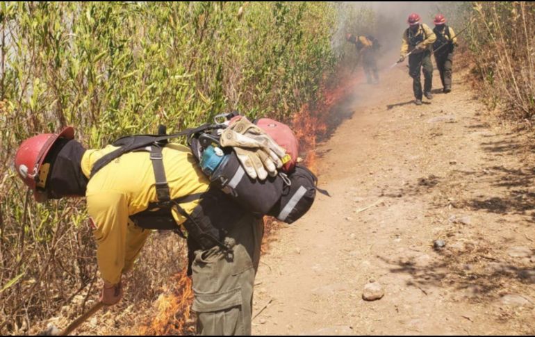 Fue llevado ante el MP el hombre acusado de prenderle fuego al Cerro Viejo. ESPECIAL