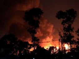 El mercado de Abastos de la Ciudad de México está en condiciones de operar sin contratiempos. EFE/M. Guzmán