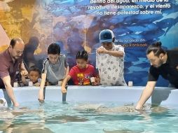 El Acuario Michin es una gran opción para ir a pasear estas vacaciones. EL INFORMADOR/E. Zamudio