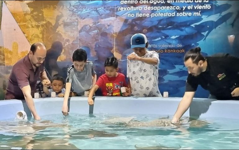 El Acuario Michin es una gran opción para ir a pasear estas vacaciones. EL INFORMADOR/E. Zamudio