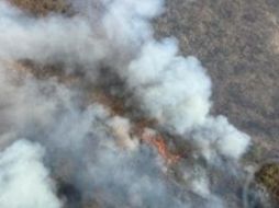 El incendio está activo y comenzó alrededor de las 16:00 horas. ESPECIAL