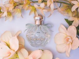 Perfumes para consentir a la niña que llevas dentro. ESPECIAL/Foto de Camille Paralisan en Unsplash.