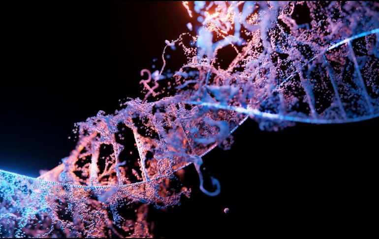 ¿Será finalmente posible editar genes sin que se produzcan mutaciones indeseadas? ESPECIAL/UNSPLASH