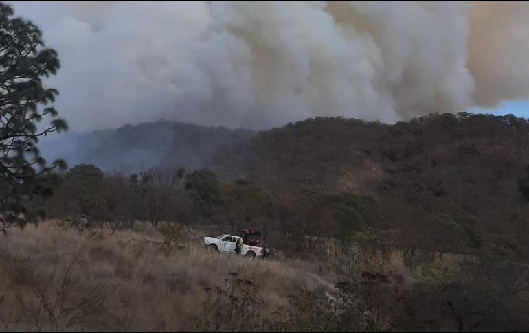 El incendio en La Primavera inició ayer y fue extinguido esta tarde. ESPECIAL